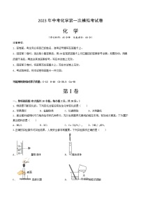 2023年中考第一次模拟考试卷化学（新疆卷）（考试版）A4