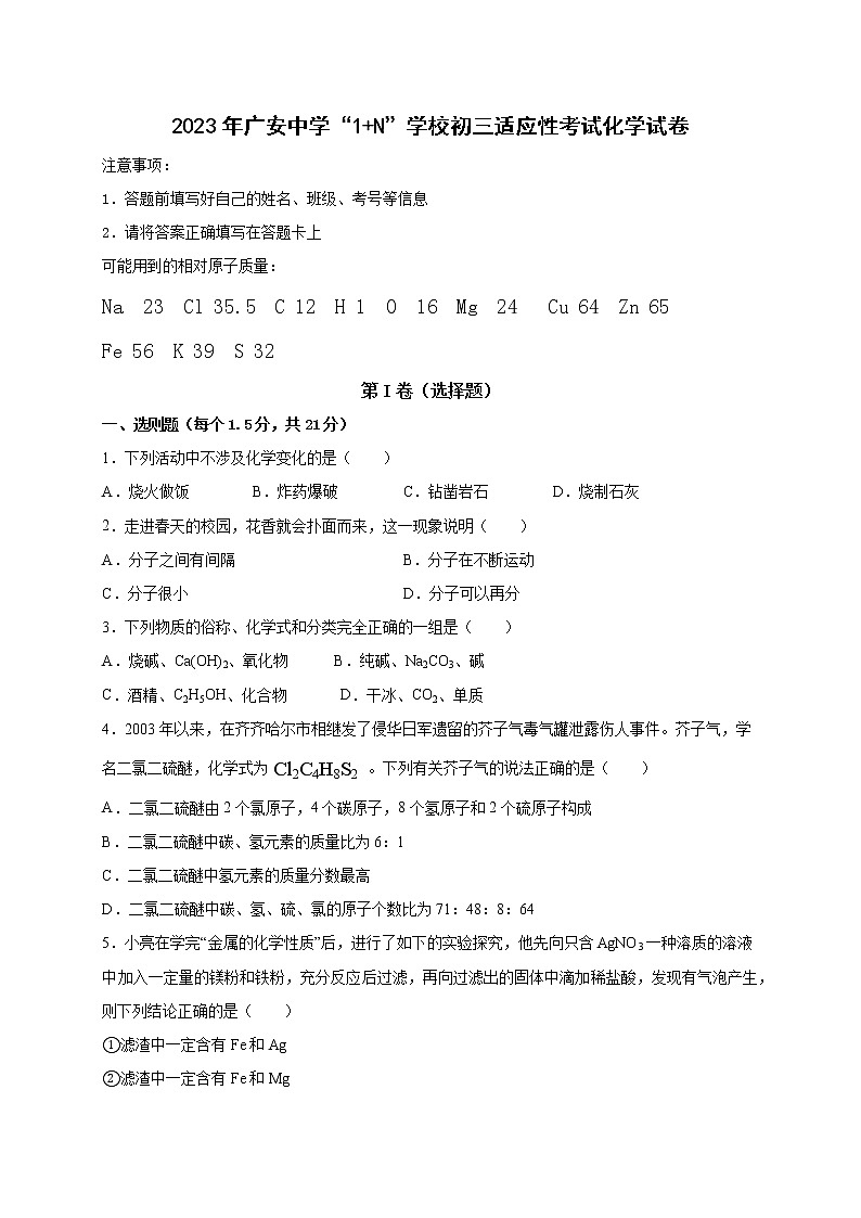 2023年四川省广安中学九年级“1+N”适应性考试化学试题第1页