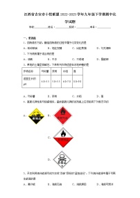 江西省吉安市十校联盟2022-2023学年九年级下学期期中化学试题-（含答案）