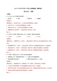 第9单元 溶液—中考（化学）一轮复习 知识点+真题演练