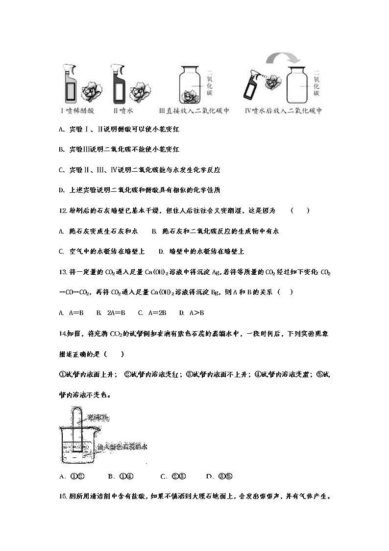 2023年中考化学重点知识二轮专题练习21 二氧化碳和一氧化碳（含答案）第3页