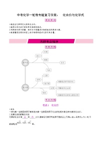 中考化学一轮微专题复习学案：化合价与化学式(教师版)