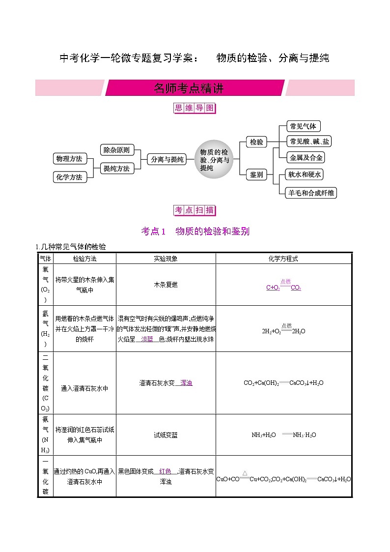 中考化学一轮微专题复习学案：物质的检验、分离与提纯(教师版)第1页