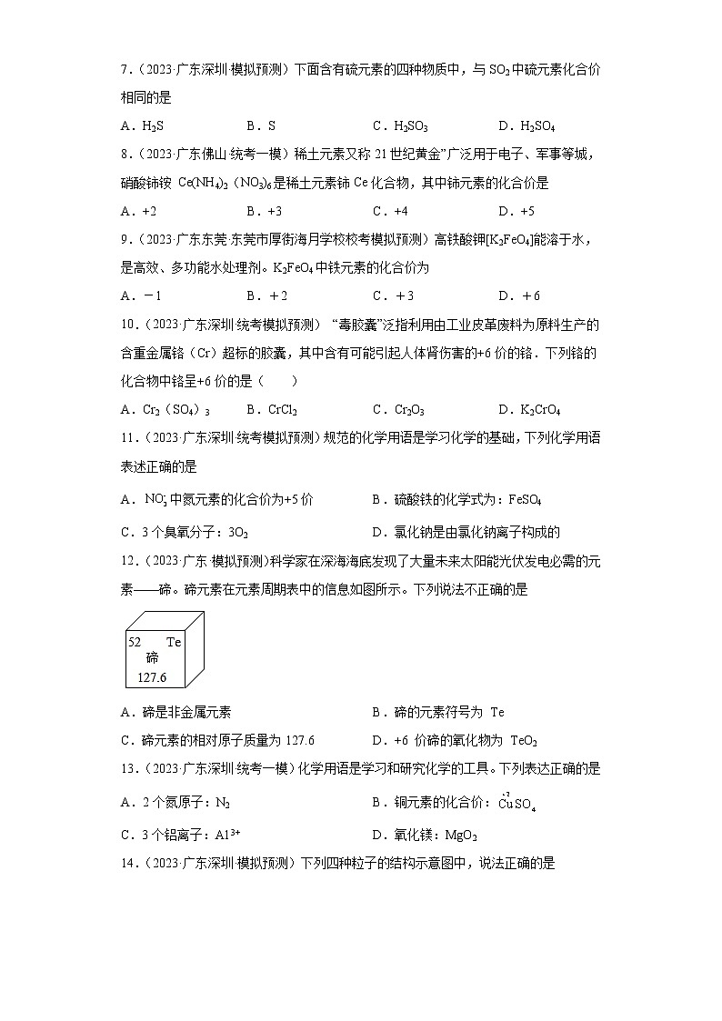 备考2023年中考化学知识点模拟新题专项练习（广东专用）-16化合价第2页