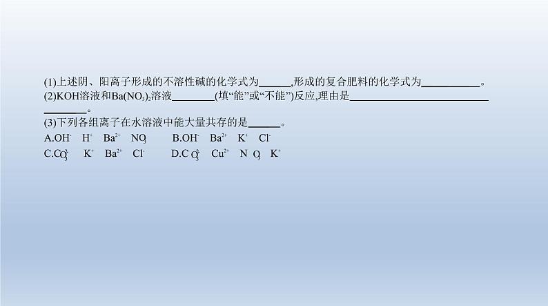 中考化学一轮复习课件6专题六　盐　化学肥料 (含答案)08