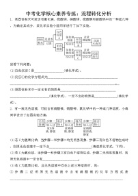 中考化学一轮复习课时练：流程转化分析 (含答案)