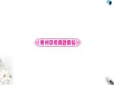 中考化学复习主题八物质的分类练习课件