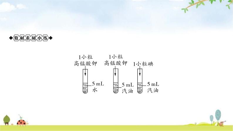 中考化学复习主题四常见的溶液教学课件第8页