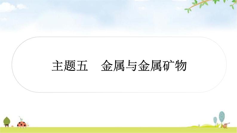 中考化学复习主题五金属与金属矿物教学课件第1页