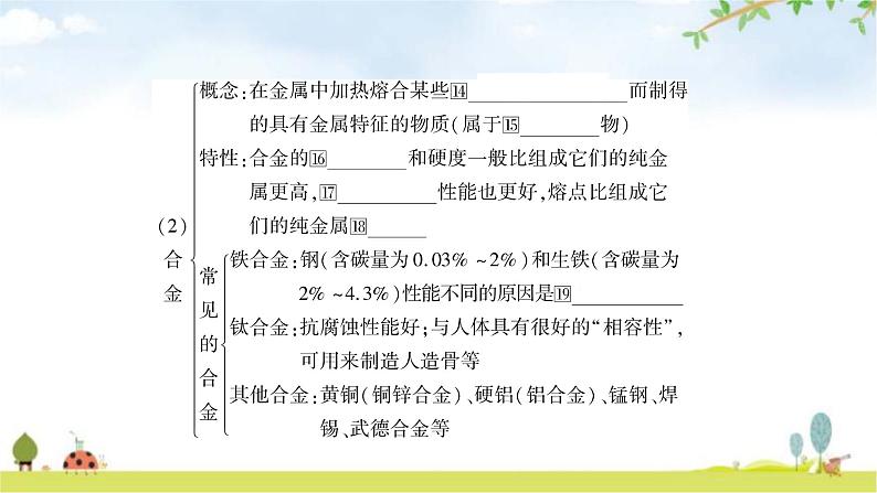 中考化学复习主题五金属与金属矿物教学课件第5页