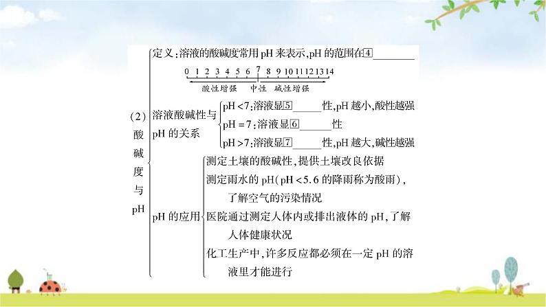 中考化学复习主题六常见的酸和碱教学课件第4页