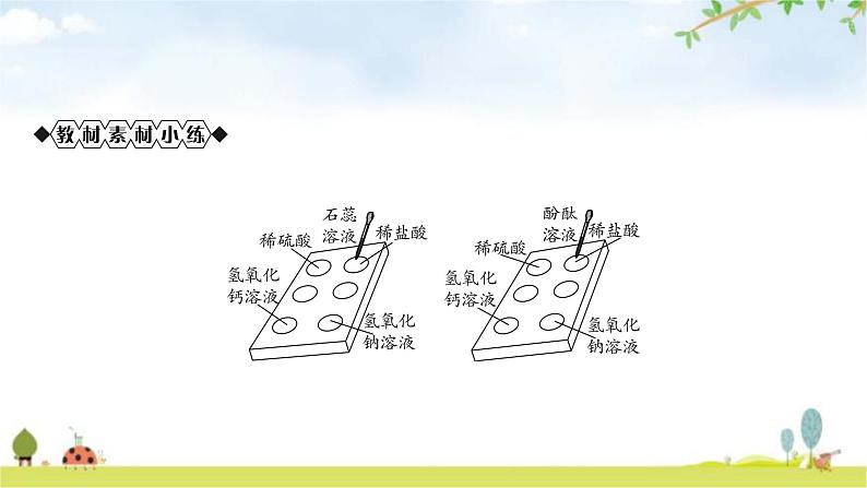 中考化学复习主题六常见的酸和碱教学课件第5页