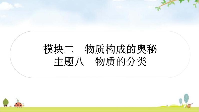 中考化学复习主题八物质的分类教学课件01