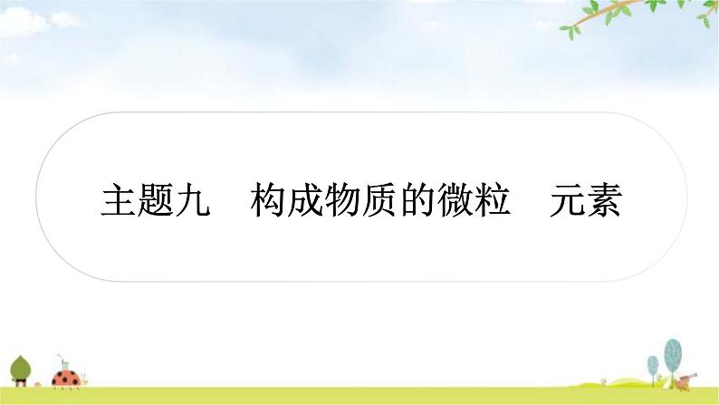 中考化学复习主题九构成物质的微粒元素教学课件第1页