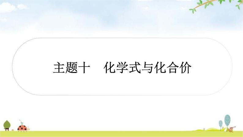 中考化学复习主题十化学式与化合价教学课件第1页