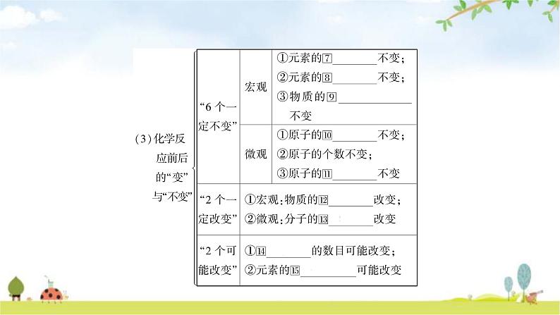 中考化学复习主题十二质量守恒定律教学课件第4页