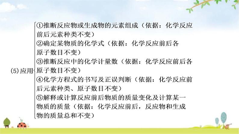 中考化学复习主题十二质量守恒定律教学课件第6页