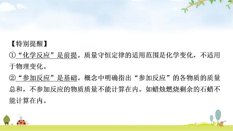 中考化学复习主题十二质量守恒定律教学课件第7页