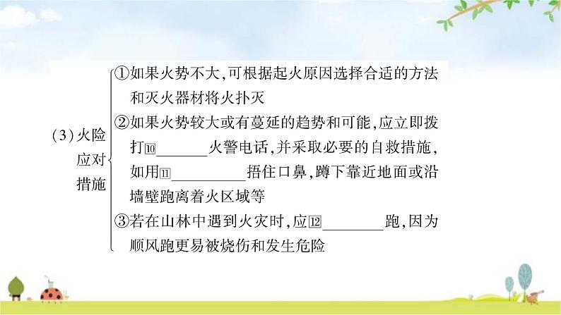 中考化学复习主题十四化学与能源、资源的利用教学课件第8页