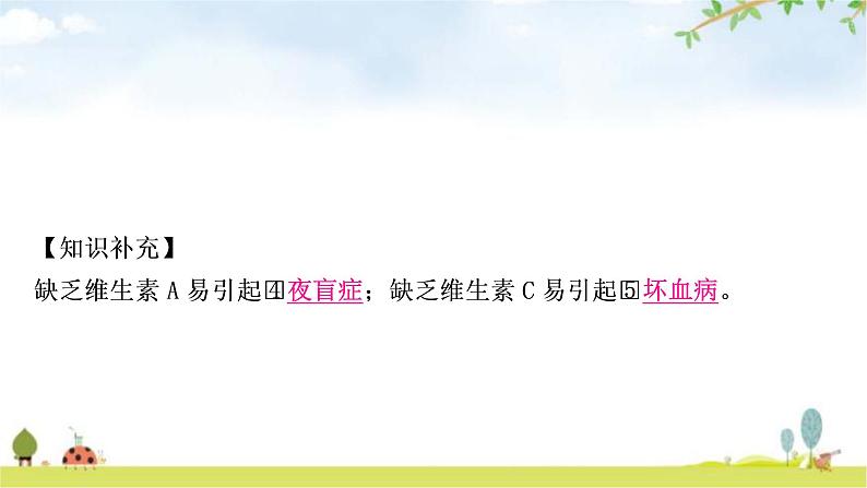 中考化学复习主题十五化学物质与健康常见的化学合成材料教学课件04