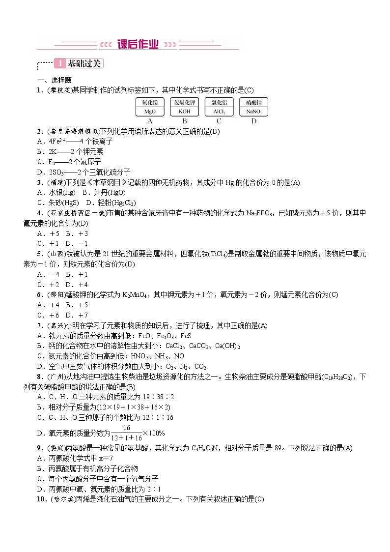 中考化学一轮复习考点讲练化学式与化合价 (含答案)第2页