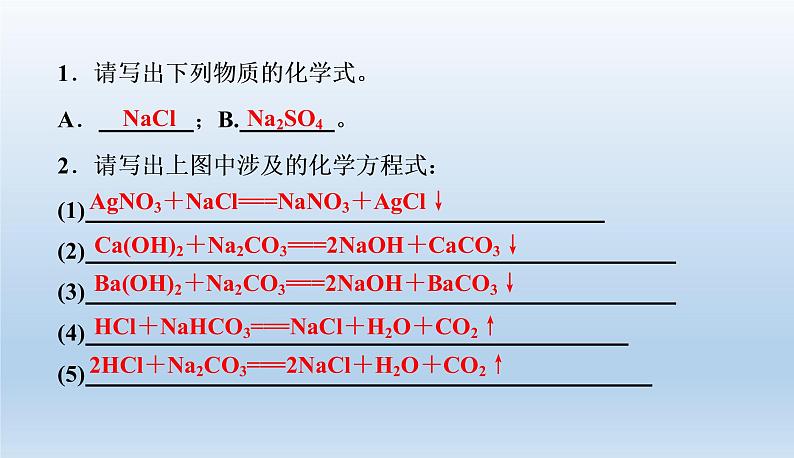 中考化学一轮复习考点讲练课件 盐　化学肥料 (含答案)第3页