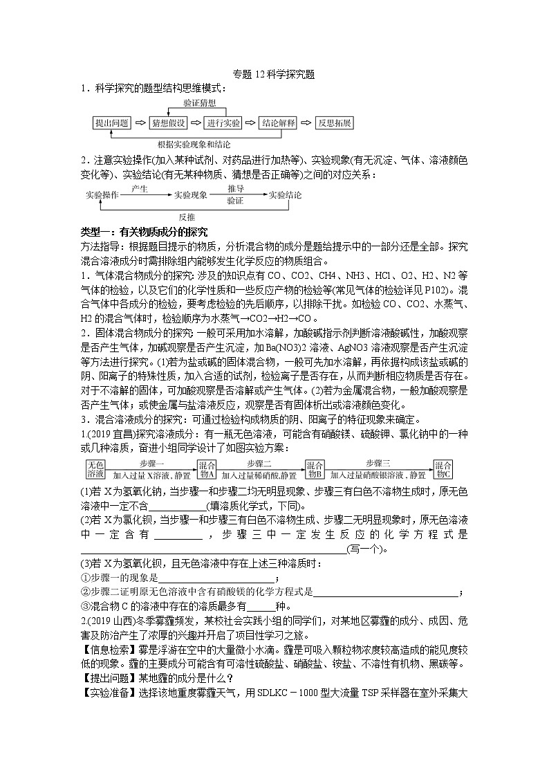 中考化学二轮复习热点专题训练：专题12科学探究题 (含答案)第1页