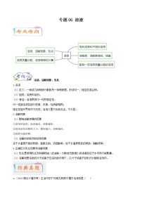 中考化学二轮复习考点练习专题06 溶液（考点详解）（教师版）