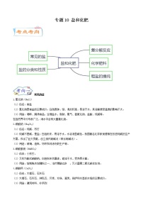 中考化学二轮复习考点练习专题10 盐和化肥（考点详解）（教师版）