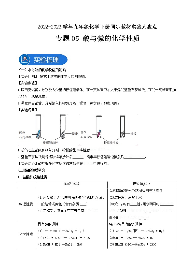 专题05酸与碱的化学性质—2022-2023学年九年级化学下册同步教材实验大盘点（人教版）（学生版）第1页