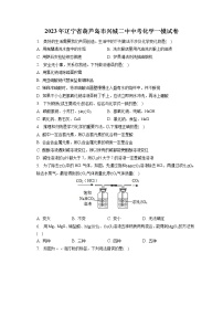 2023年辽宁省葫芦岛市兴城二中中考化学一模试卷（含答案解析）