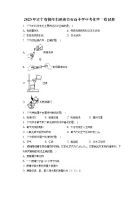 2023年辽宁省锦州市凌海市石山中学中考化学一检试卷（含答案解析）