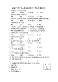 2023年辽宁省大连市高新园区中考化学模拟试卷（含答案解析）