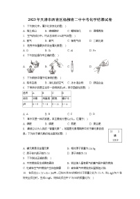 2023年天津市西青区杨柳青二中中考化学结课试卷（含答案解析）