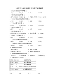 2023年上海市杨浦区中考化学质检试卷（含答案解析）