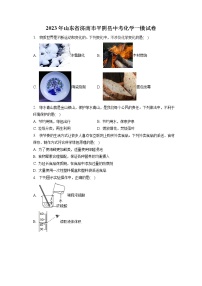 2023年山东省济南市平阴县中考化学一模试卷（含答案解析）