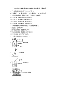 2023年山东省济南市长清区中考化学一模试卷（含答案解析）