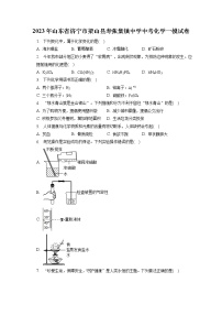 2023年山东省济宁市梁山县寿张集镇中学中考化学一模试卷（含答案解析）