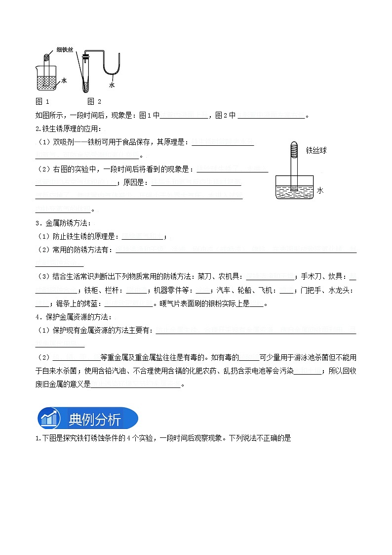 专题03探究铁的锈蚀条件—2022-2023学年九年级化学下册教材实验大盘点（人教版）（学生版）第2页