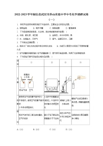 2022-2023学年湖北省武汉市洪山实验中学中考化学调研试卷（一）（含答案解析）