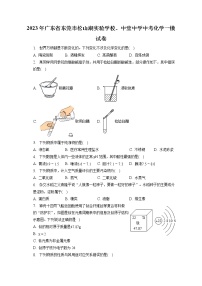 2023年广东省东莞市松山湖实验学校、中堂中学中考化学一模试卷（含答案解析）