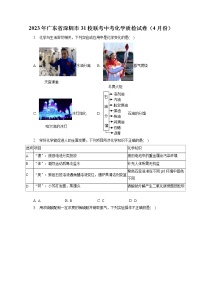 2023年广东省深圳市31校联考中考化学质检试卷（4月份）（含答案解析）