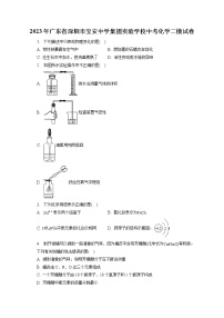 2023年广东省深圳市宝安中学集团实验学校中考化学二模试卷（含答案解析）