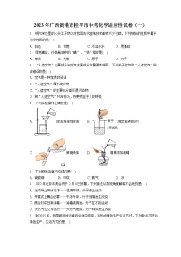 2023年广西贵港市桂平市中考化学适应性试卷（一）（含答案解析）