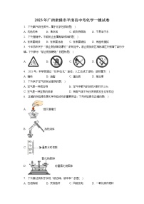 2023年广西贵港市平南县中考化学一模试卷（含答案解析）