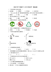 2023年广西南宁三中中考化学一模试卷（含答案解析）