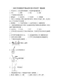 2023年河南省平顶山市叶县中考化学一模试卷（含答案解析）