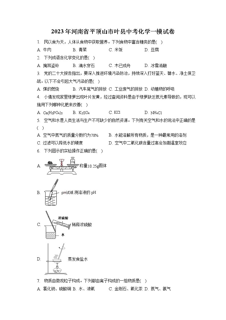 2023年河南省平顶山市叶县中考化学一模试卷（含答案解析）第1页