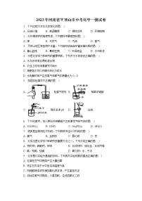 2023年河南省平顶山市中考化学一模试卷（含答案解析）