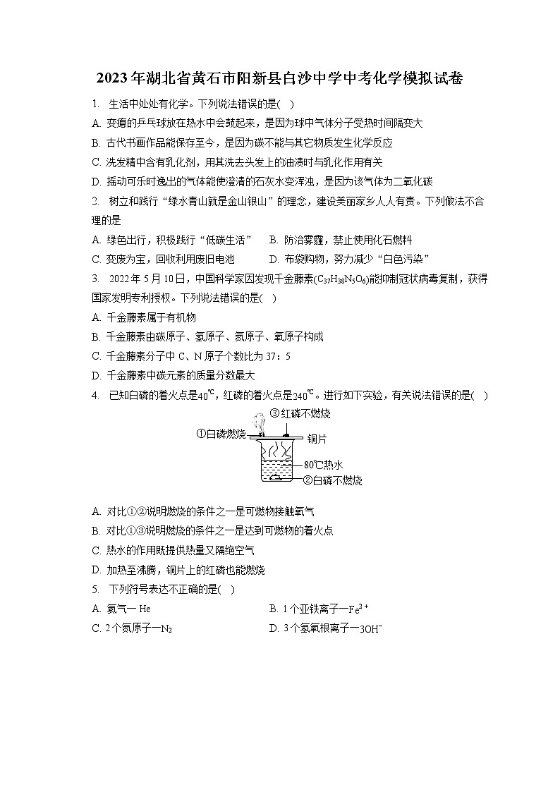 2023年湖北省黄石市阳新县白沙中学中考化学模拟试卷（含答案解析）第1页